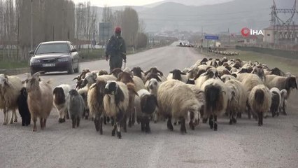 Göçerlerin zorlu yolculuğu başladı
