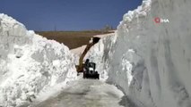 Nisan sonu Şırnak'ta 10 metreyi bulan karda yol açma çalışmaları devam ediyor
