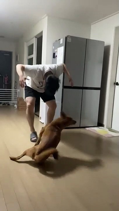 How to Scare Your Dog