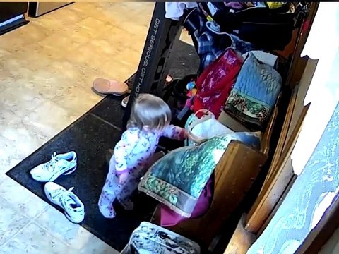 Toddler Takes Cash Out of Grandma's Purse