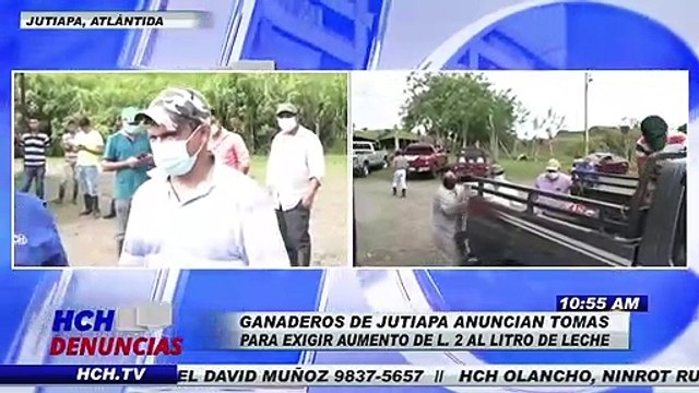 Pequeños ganaderos de Jutiapa, Atlántida anuncian acciones para exigir mejores precios de la leche