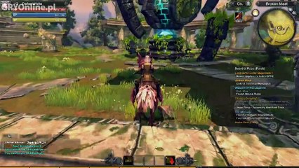 RaiderZ Moa and the knight - GOL