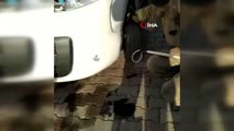Araç motoruna sıkışan kediyi kurtarma operasyonu kamerada