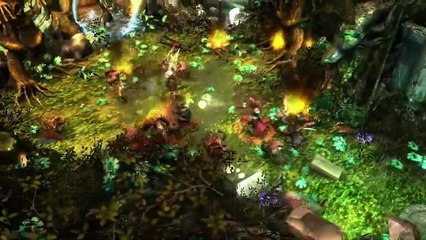 R.A.W.: Realms of Ancient War cooperation