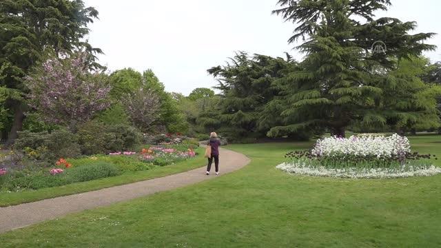 Greenwich Park'ta açan farklı türde çiçekler vatandaşların ilgisini çekiyor