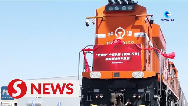 NE China province launches first int'l freight train service via China-Laos Railway