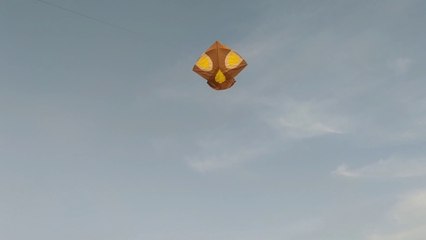 Brown Kite Making and Kite Flying at home