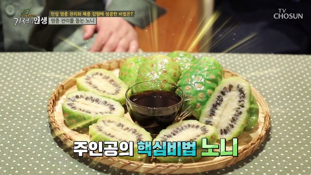 동의보감에 기록되어 있는 각종 영양성분이 풍부한 ‘노니’ TV CHOSUN 20220423 방송