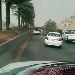 سقوط نخلة فوق سيارة بالرياض.. وصاحبها يفاجأ بتحميله نسبة الخطأ بالكامل