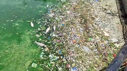 pollution: खूबसूरत झील का ये हाल, नहीं है किसी को परवाह...