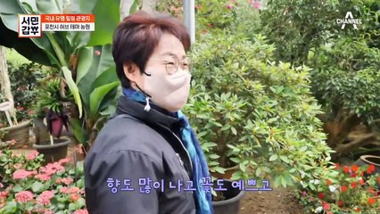 '허브 향 한가득~♥' 허브만 400여 종?! 갑부의 '대규모 허브 테마 왕국'