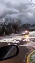 Vento forte arrancou árvores em Palotina e Maringá e bloqueou estradas