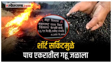 महावितरणच्या गैरकारभारामुळे शेतकर्‍याच मोठ नुकसान; ५ एकरातील गहू जळून खाक