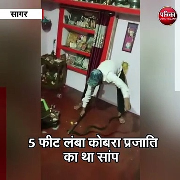 सागर : जहरीले सर्प को देखकर दहशत में परिवार