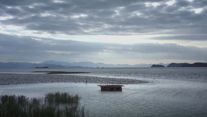 '생태계 보고' 보성 벌교 갯벌...'세계 습지의 날' 기념식 / YTN