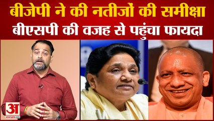 बीजेपी की समीक्षा: यूपी में दलित वोटों की वजह से जीती भाजपा । CM Yogi | Mayawati | UP