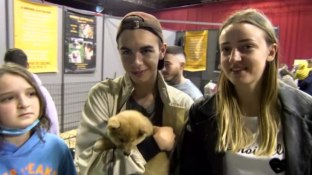 Premier Salon des animaux de compagnie à Martigues