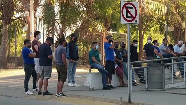 Analizan apertura de módulo para expedición de licencias | CPS Noticias Puerto Vallarta