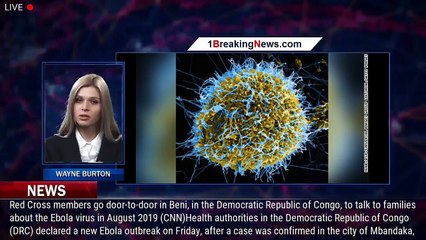 Descargar video: New Ebola outbreak declared in DRC after single case confirmed - 1breakingnews.com