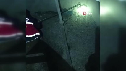 Van'da su deposunda mahsur kalan tilki kurtarıldı