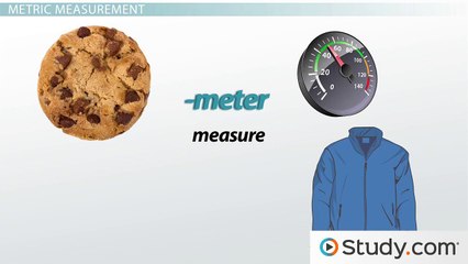 The Metric System- Units and Conversion