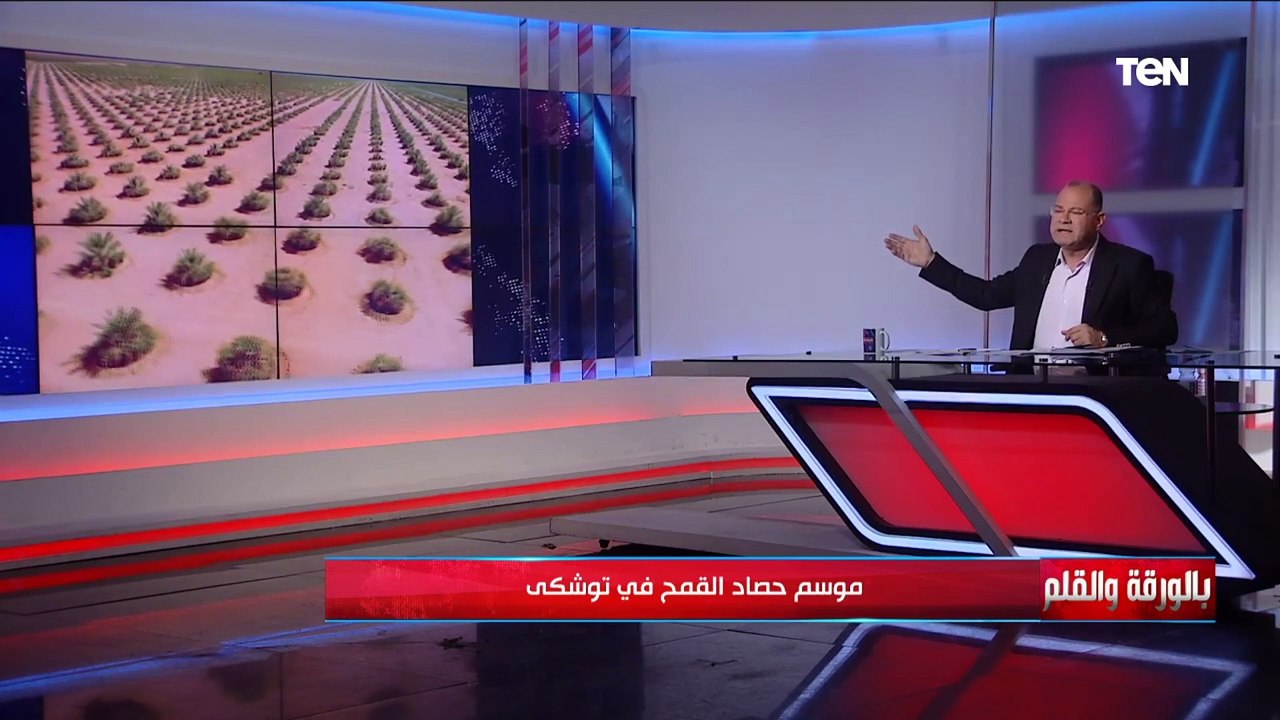 الديهي يتحدث عن مشاريع الدولة لزيادة الرقعة الزراعية الضخمة في الدلتا وتوشكى