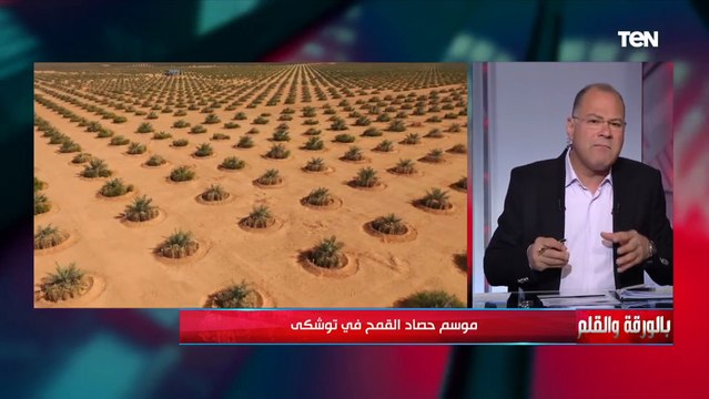 مصر من أكبر مستهلكي و مستوردي القمح في العالم..الديهي يضع روشتة لحل أزمة القمح في مصر جذريا