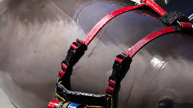 Secret Military Projects On Animals Has Been Revealed