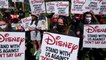 Disney's Special Tax District in Florida, Explained
