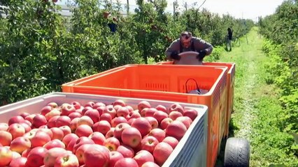 Concerns over road safety after death of four seasonal workers