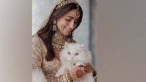 Alia Bhatt का Pet Cat के साथ Cute Wedding Photo Viral, Shooting से Sister के साथ वापसी | Boldsky
