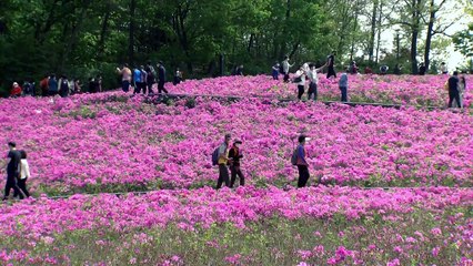 [날씨] 불암산 나들이객 북적...내일 밤사이 호우 / YTN
