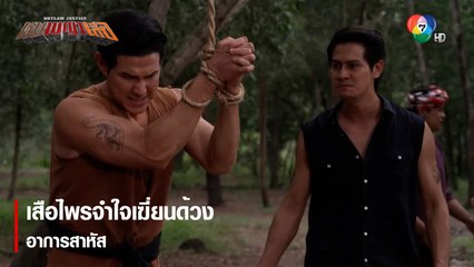 เสือไพรจำใจเฆี่ยนด้วง อาการสาหัส | ตอกย้ำความสนุก หุบพญาเสือ EP.8 | Ch7HD