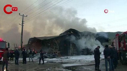 Yalova'da kereste fabrikasında korkutan yangın