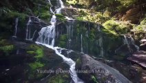 30 Minutes Relaxation Music for stress Relief, Music for Yoga, Music for Meditation, Calm Music