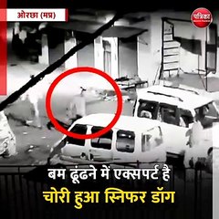 ओरछा (मप्र): चोरों को ढूंढने वाला पुलिस का डॉग चोरी