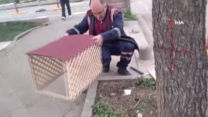 Pendik'te kaldırıma yuva yapan martı için ekipler teyakkuza geçti