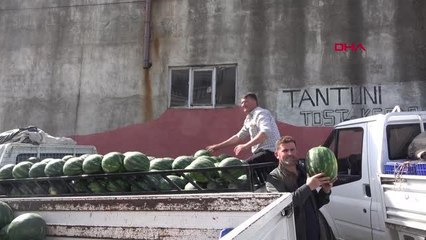 ANTALYA'DA KARPUZ HASADI BAŞLADI