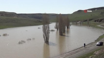 Kars'ta ağaçlar baraj suyu altında kaldı