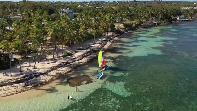 Fédération Française de Voile - FFVoile : Edition Caraïbes Une mer bleu turquoise en Guadeloupe !