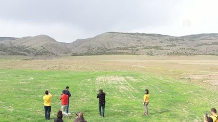 Nesli tehlike altındaki küçük akbaba Eskişehir'de uydu vericisiyle izleniyor