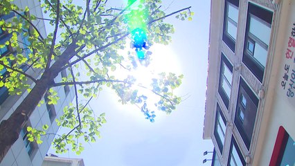 [날씨] 대구는 벌써 여름...내일 퇴근길부터  태풍급 비바람 / YTN