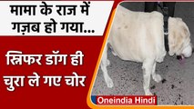 Madhya Pradesh: पुलिस का बम खोजने वाला कुत्ता ही चुरा ले गए चोर | वनइंडिया हिंदी
