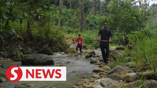 Depot riot: 72 Rohingya escapees still at large as manhunt continues