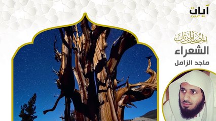 Surah Ash-Shu'ara | سورة الشعراء |  Beautiful Quran Recitation