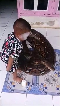 Ce bébé joue avec son animal de compagnie... un très gros animal