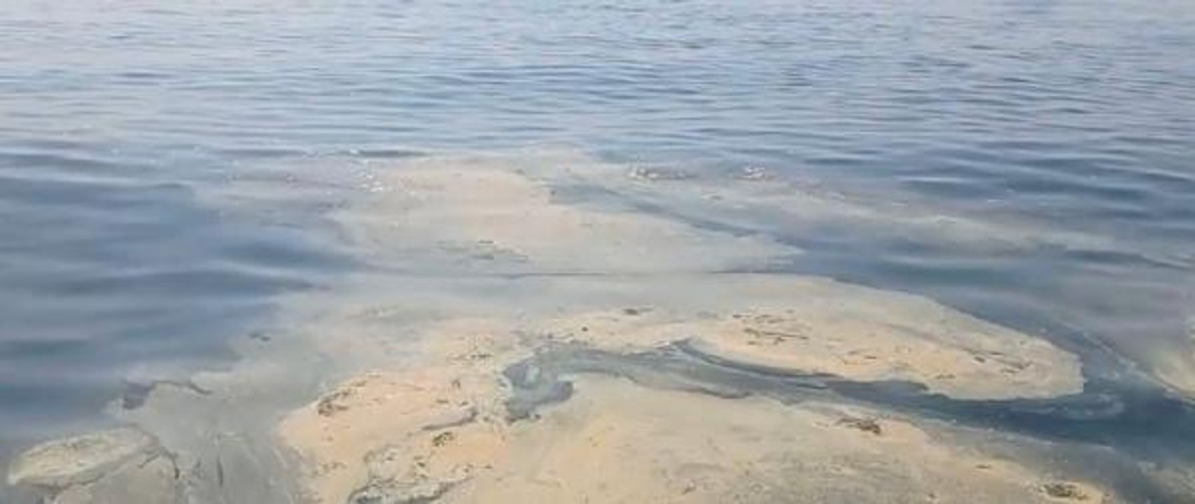 İZMİT KÖRFEZİ'NDEKİ MÜSİLAJI GÖRÜNTÜLEDİ