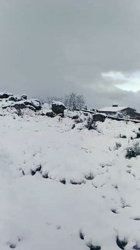 Neve cobre Gerês e Trás-os-Montes