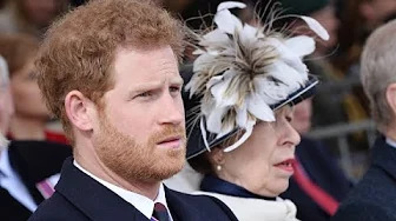 Blow for Prince Harry as Princess Anne to replace Duke in key Royal Marines role