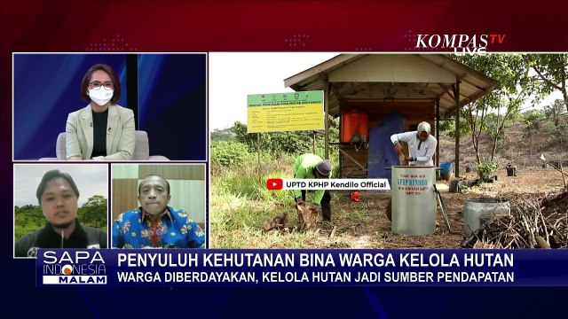 Bisa Jadi Pendapatan Warga! Kelompok Tani Hutan Produksi Arang, Minyak Atsiri Hingga Madu